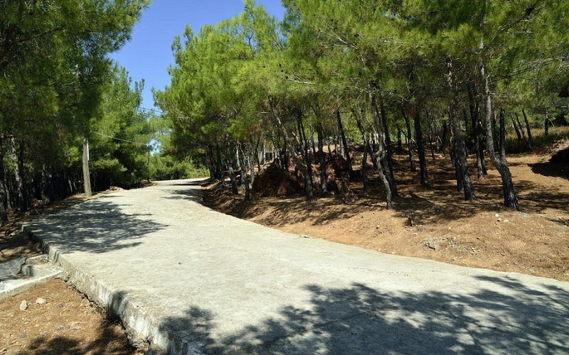 Ayvalık'ın Doğa Harikası Kamp Alanları