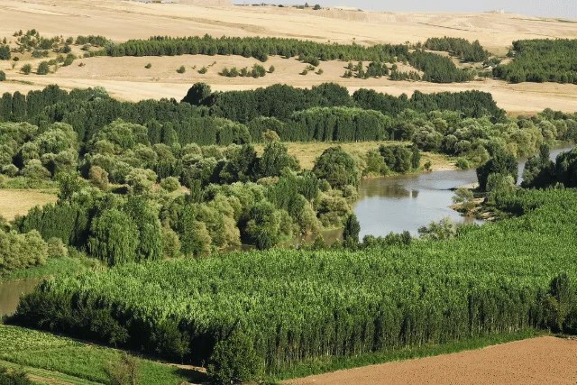 Diyarbakır Hevsel Bahçeleri