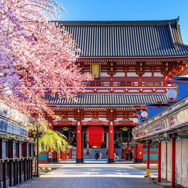 THY ile Tüm Turlar Dahil Büyük Japonya Turu 6 Gece