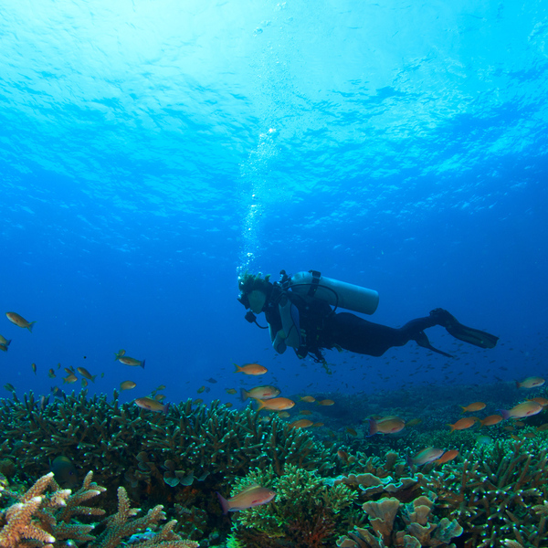 5 Gece 6 Gün Sharm El Sheikh Turu