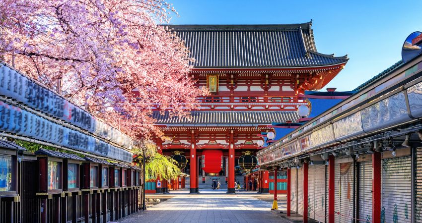 THY ile Tüm Turlar Dahil Büyük Japonya Turu 6 Gece